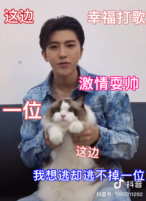 [蔡徐坤][新闻]200827 蔡徐坤抱小猫咪跳《情人》 柠檬精ikun:放开坤