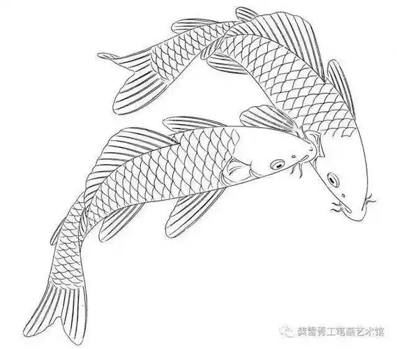 龚雪青工笔《鲤鱼百态》实用白描_组合_造型_象征