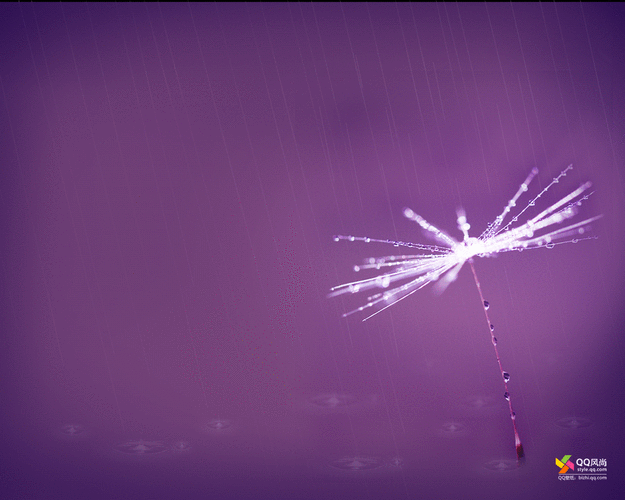 纯色动态屏保高清原图查看1111