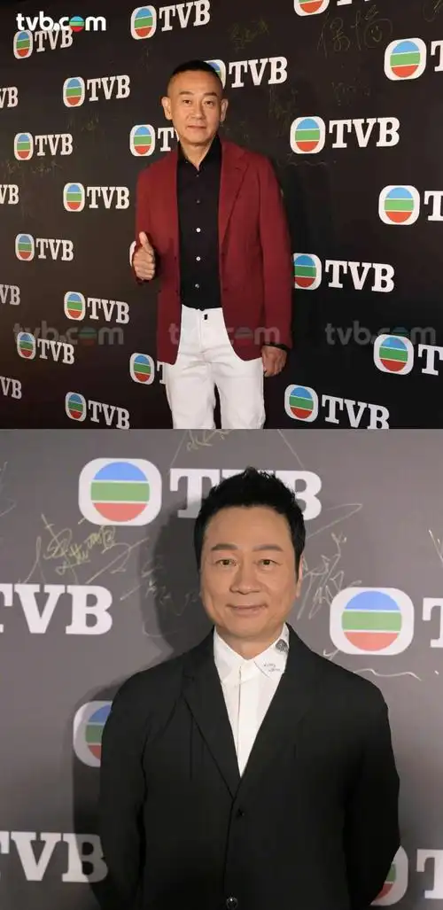 多元媒体的合作计划及方案    出席艺人包括林保怡,黎耀祥,黄宗泽