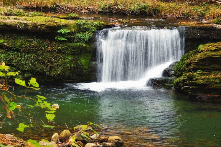 旅游 正文 素有陕南"九寨沟"之称的黎坪风景区,位于川陕交界大巴山