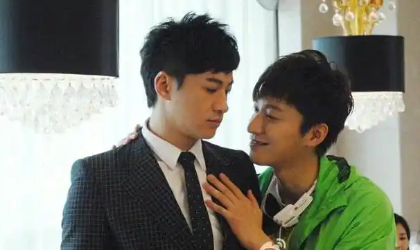 剩女的代价演员表(乔任梁生前演过的这15部电视剧)(10)