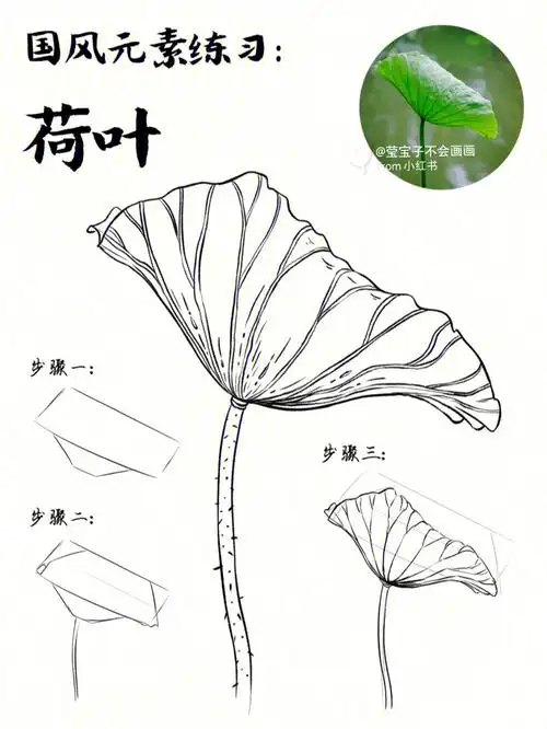 国风线稿练习87荷叶