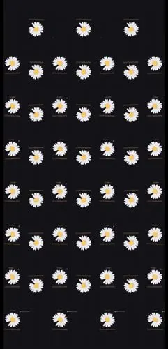 收集   点赞  评论  权志龙联名小雏菊 0 1 s笑笑呀  发布到  壁