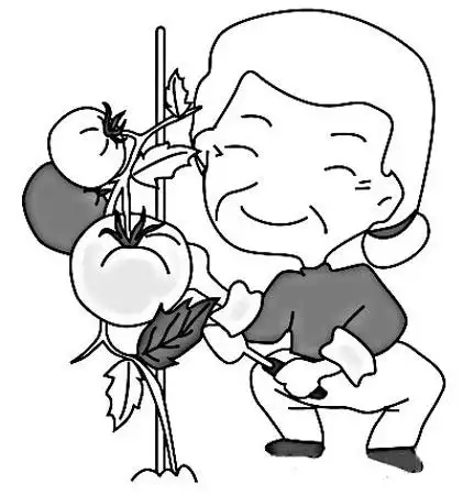 儿童简笔画老奶奶种菜图片