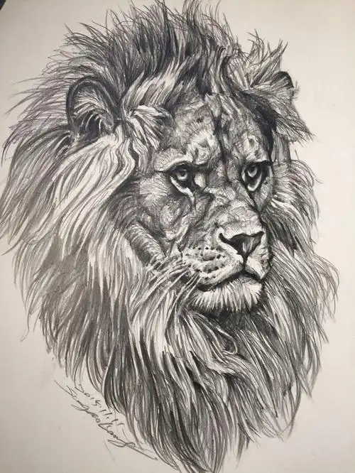 狮子肖像-狮鸢sonny__涂鸦王国插画