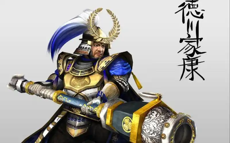 无双大蛇z,德川家康,樊城之战(真三国无双4战国无双2大乱斗)