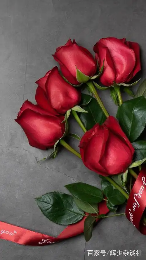 关于爱情,我们缺的不是耐心,不是浪漫情怀,缺的是融合