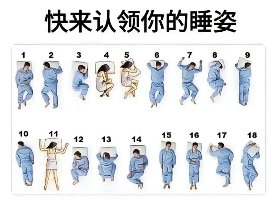 快来认领你的睡姿吧 看看谁的最优雅