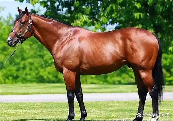 世界最贵名马前5,汗血马意外排不进前二?第一名身价高达4亿