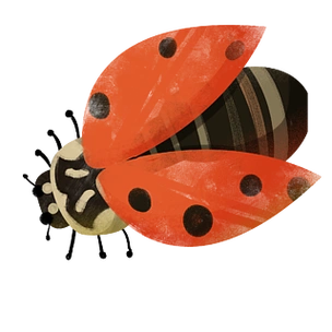 卡通手绘一只七星瓢虫设计