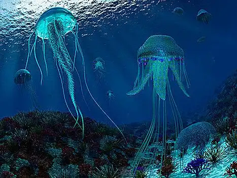 成群,水母,游泳,海洋