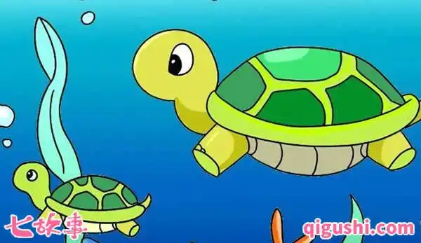 小乌龟找到了妈妈