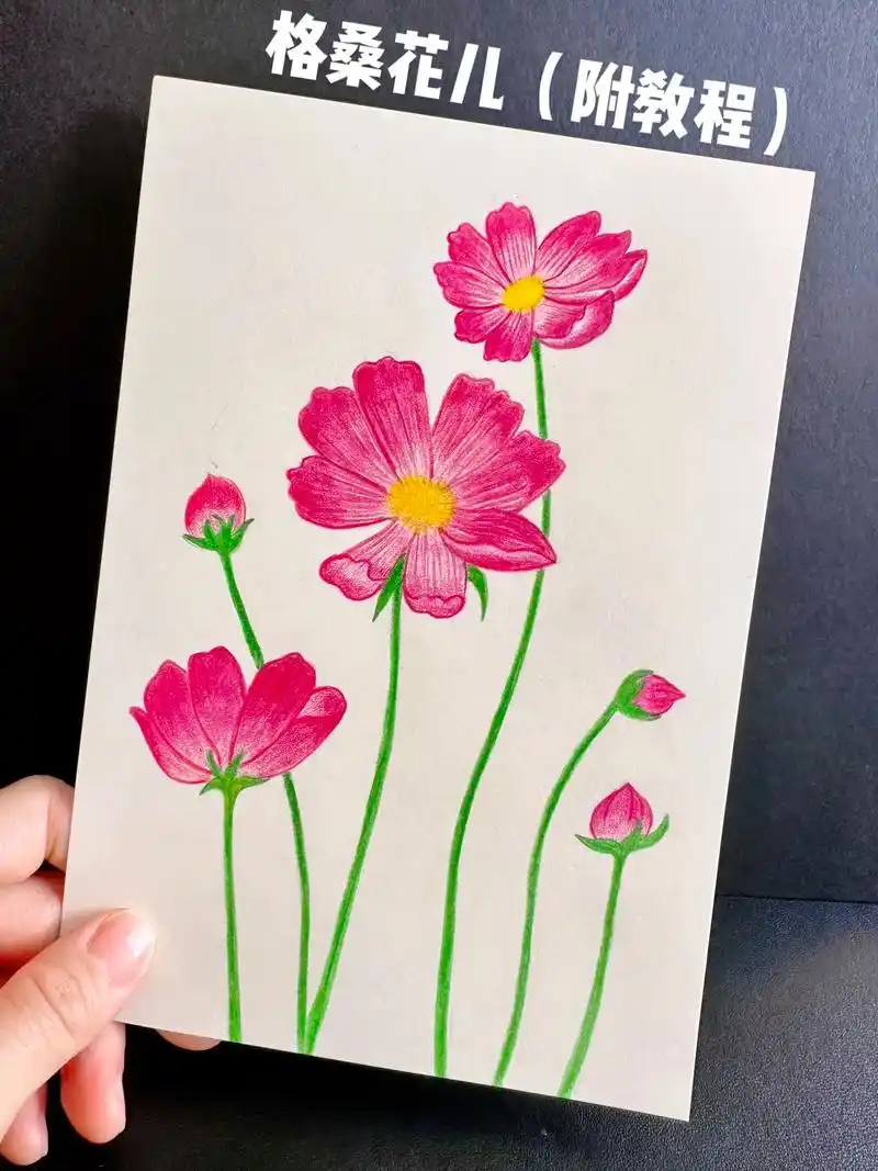 格桑花简笔画.在春天里,在春风中,走着走着花就开了,走着走着 - 抖音