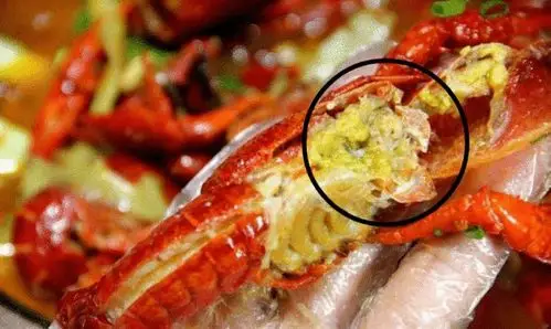 小龙虾的头是屎还是黄别不懂装懂