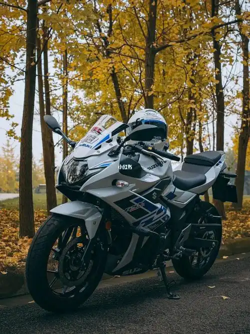 铃木gsx250小小r22款