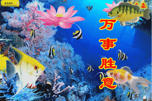 600_400gif 动态图 动图