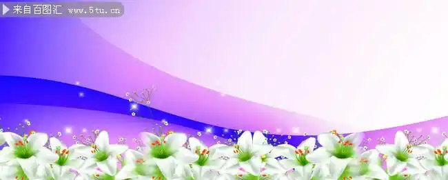 百合花背景图片素材