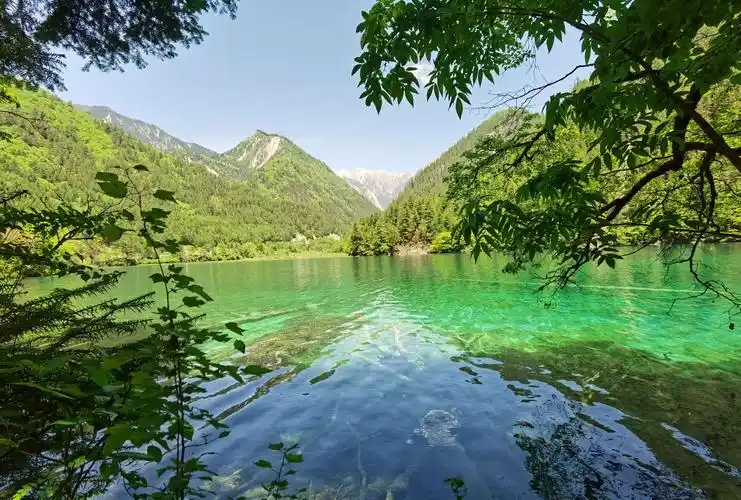 20年6月:"九寨归来不看水",是对九寨沟景色真实的诠释.