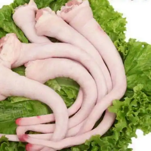 [猪尾巴批发]新鲜猪尾巴 长猪尾黑猪尾短猪尾新鲜现杀红烧卤味煲汤