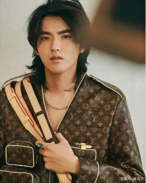 财报出来了,lvmh创销售记录打败gucci,吴亦凡起了多少作用?