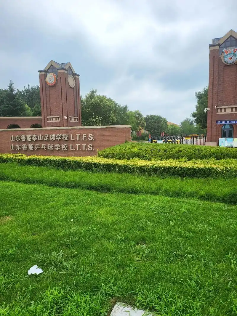 生活就是这么残酷,没有人关心你付出过多少努力,只