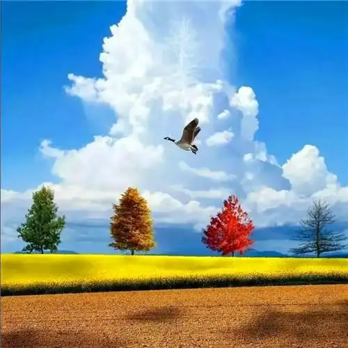 爸爸们爱用的头像 高清适合40岁以上父亲用的头像图片_微信头像_头像