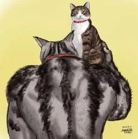 一身腱子肉三拳打死汪会健身的肌肉喵你惹不起