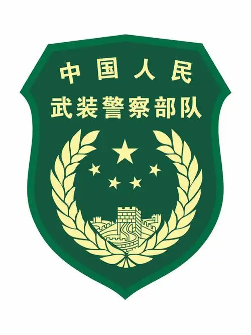 训练营 领花 臂章 - 有图网_免费素材_做好图_上有图