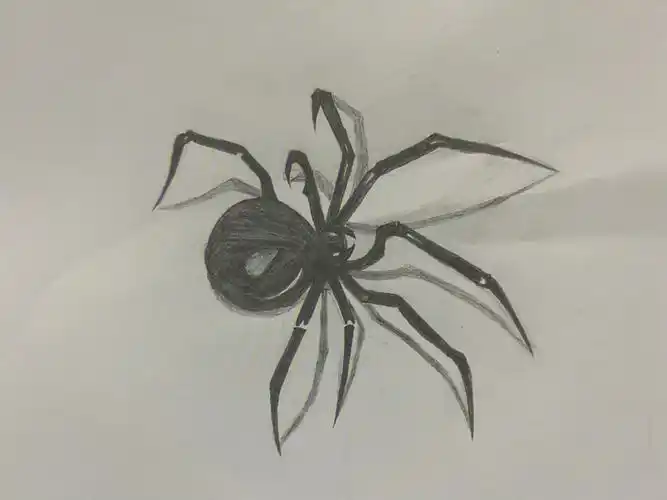 蜘蛛3d临摹