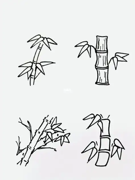 竹子简笔画法最简单