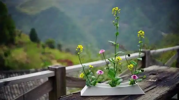 只有保持内心的平静,才能拥有淡然的心态.