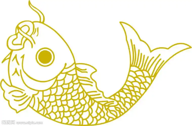 鲤鱼图片