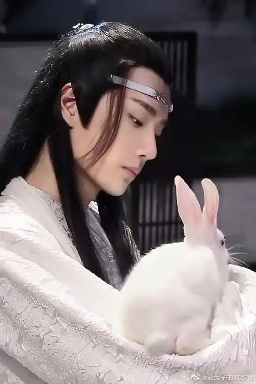 陈情令超话91#肖战王一博陈情令#蓝湛,你喜不喜欢兔子吖喜欢,兔子