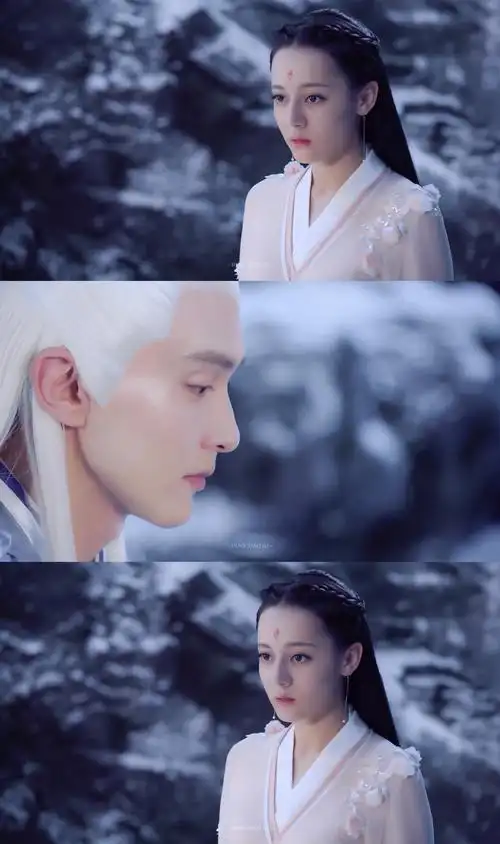 三生三世枕上书 凤九 东华