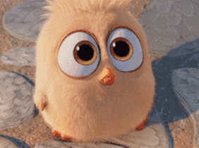 297_220gif 动态图 动图