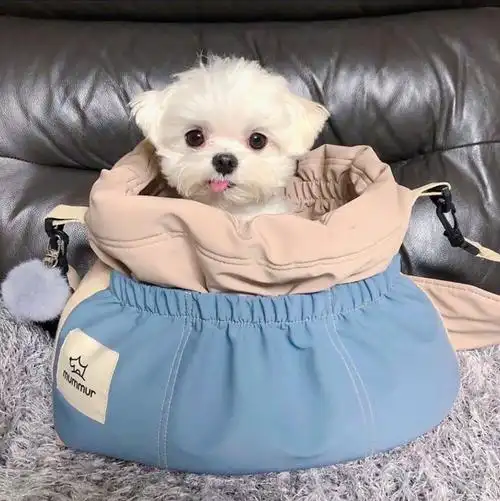 可爱头像朋友圈背景图