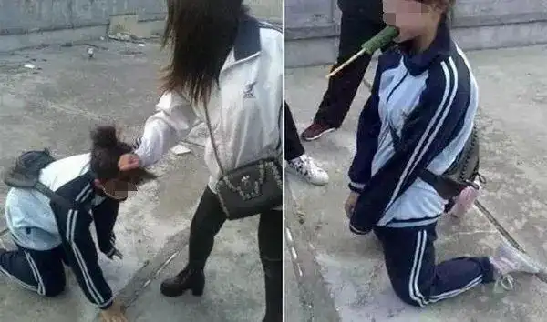 在世界的各个国家,每天甚至每一秒都会发生校园欺凌的事件,并不时有