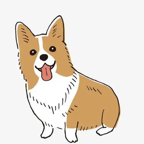 带小动物的动漫头像图片大全可爱图片_头像图片_扣扣乐园