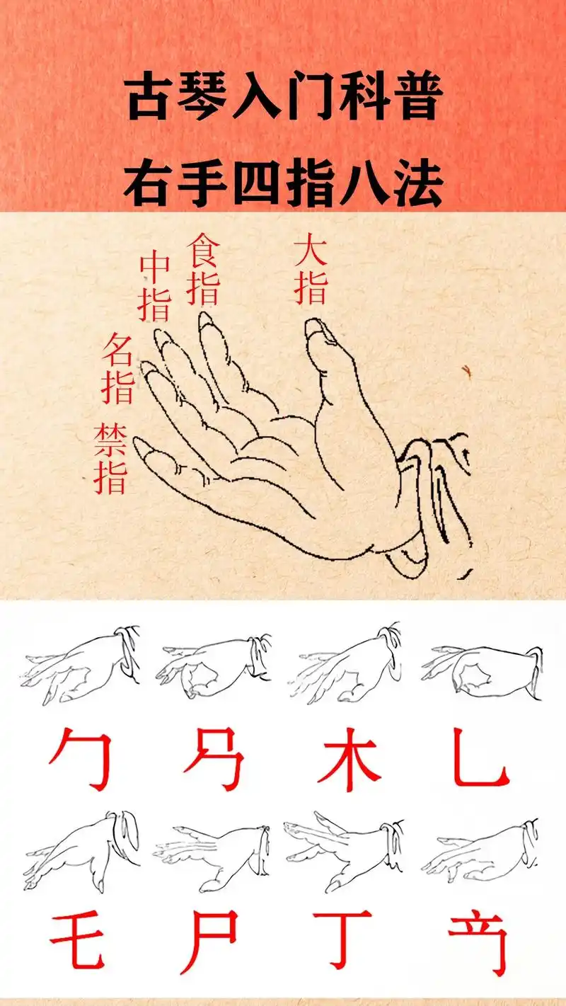 中国古琴指法之美|右手四指八法|古琴入门.#图文伙伴计划   - 抖音