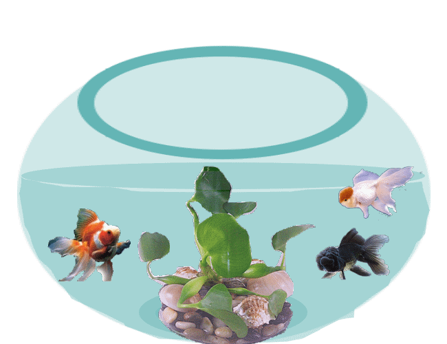 650_500gif 动态图 动图