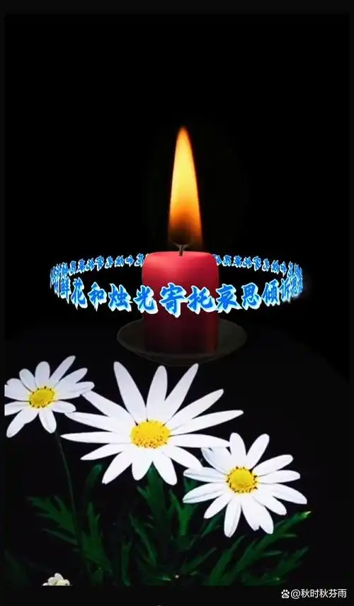 夜莺飞往天堂,去守护另一片草原