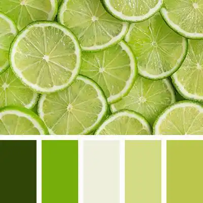 这里有一组超实用的绘画配色方案