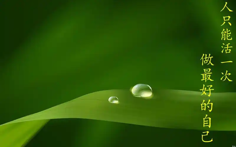 绿色.养眼.看行不行 ,不行的话,再给你换张.