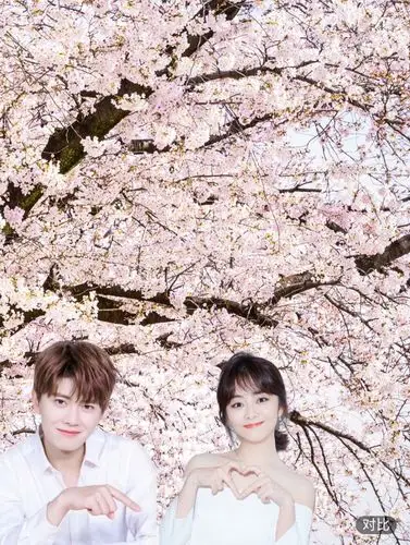 古装剧《锦衣之下》"六元一斤虾"cp 甜蜜手机壁纸