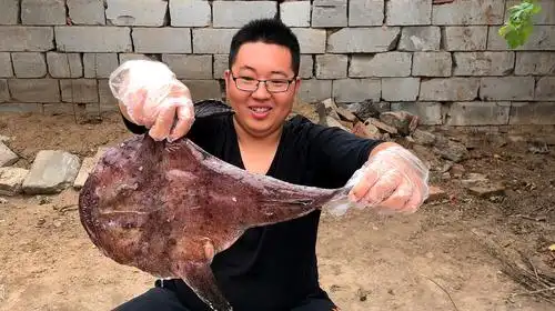 68元买了三斤灯笼鱼,样子奇丑无比,肉质却鲜嫩肥美!