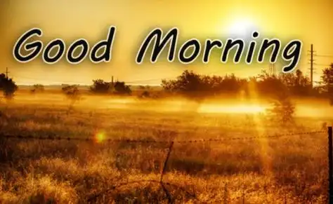 早上好,李老师翻译成英语怎么翻译?