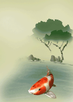 250_350竖版 竖屏gif 动态图 动图