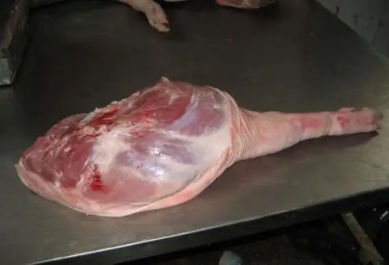 猪前腿肉好吃还是后腿肉好吃?老屠夫说出真相,原来一直买错了