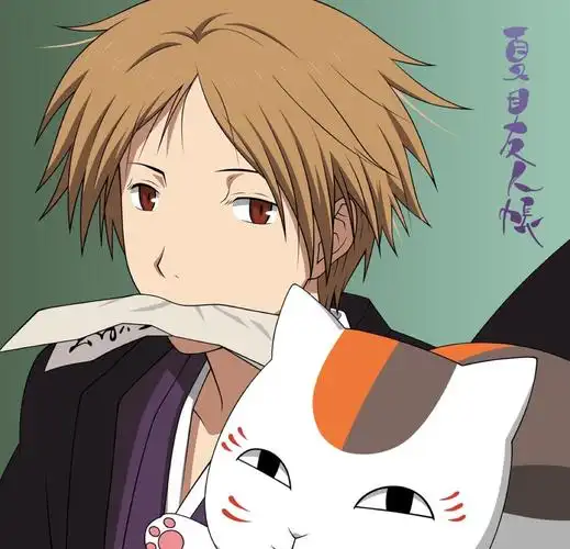 夏目友人帐 夏目和猫咪老师